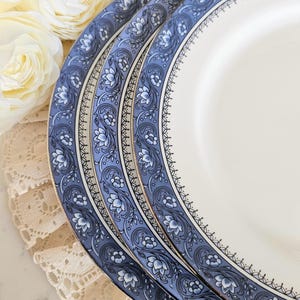 Zestaw 3 talerzy sałatkowych Aynsley Blue Mist, porcelana kostna Fine Bone China, wyprodukowano w Anglii, niebieski pasek z motywem kwiatowym, zabytkowa zastawa stołowa, zamiennik porcelany
