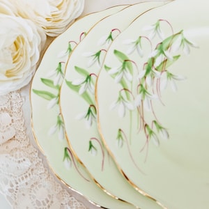 May include: A close-up of four pale green plates with a floral design of white snowdrop flowers and green leaves. The plates have gold rims and are arranged near white fabric flowers and lace.