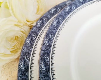Set of 2 Aynsley Blue Mist Dinner Plates, Fine Bone China Made in England, vintage dinnerware, china replacement