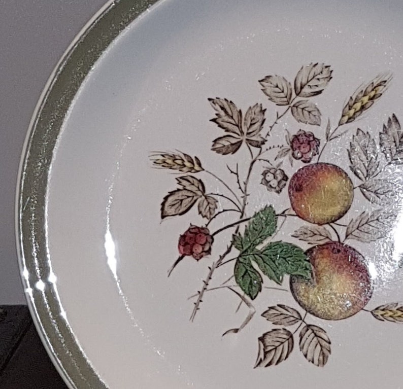 Hereford 1950s Alfred Meakin raspberries china replacement green band peaches Dinner plate vintage dinnerware Vintage