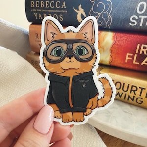 May include: A sticker of a cartoon orange and white cat wearing a black jacket and aviator goggles. The cat is wearing a patch on its jacket that says "Broccoli".