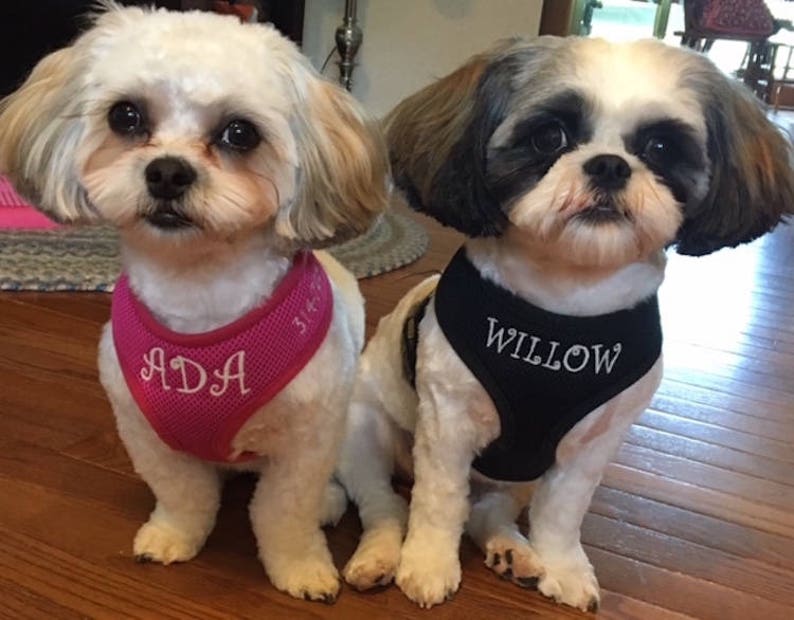 S-XL only Add a Phone Number to your Personalized Custom Embroidered harness back shoulder This is not a listing for the harness itself