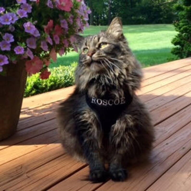 S-XL only Add a Phone Number to your Personalized Custom Embroidered harness back shoulder This is not a listing for the harness itself