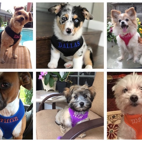 Personalized Soft Mesh Dog Harness Custom Embroidered with Name on Chest - 9 Colors XS - XL