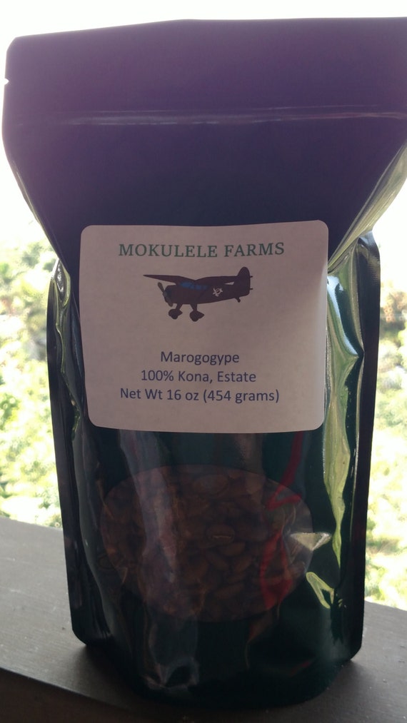 Kona Maragogype -- the Sweetest Kona Coffee Ever