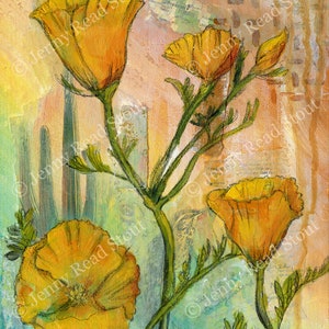 California Poppy digital 8.5 print image 2