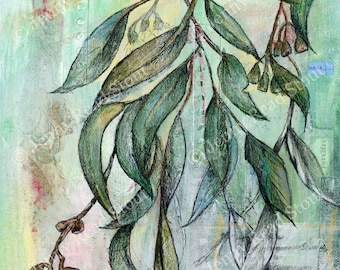 Eucalyptus Leaves (By Dint of Dionysus) - Digital Print