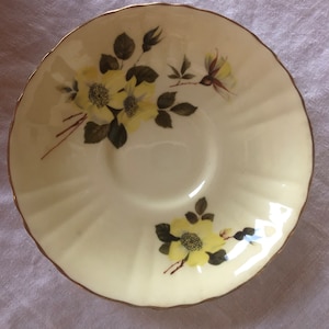 Royal Grafton fine bone china saucer