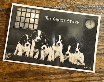 The Ghost Story Dog Postcard vintage halloween