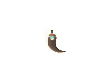 tooth pendant and turquoise