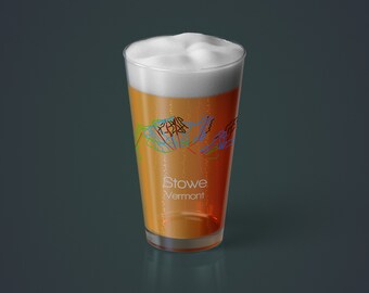 Stowe Pint Glass / Bicchiere da birra da sci / Mountain Barware / Vermont / Snowboard / Bicchiere da bere