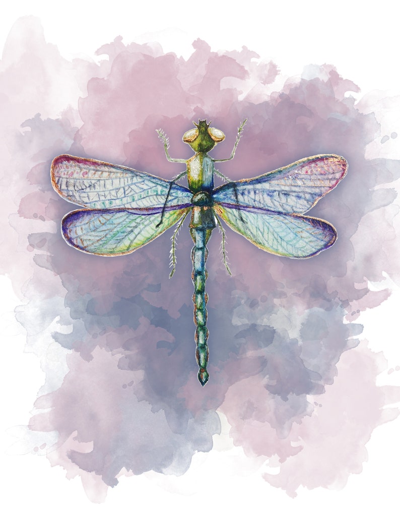 Dragonfly Watercolor Wall Art Nursery Decor Dragonflies Etsy