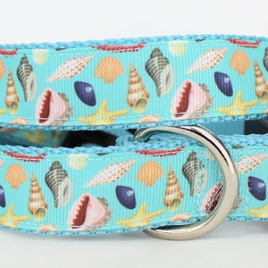 Seashells 1&quot; Dog Collar