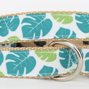 Tropicana 1&quot; Dog Collar