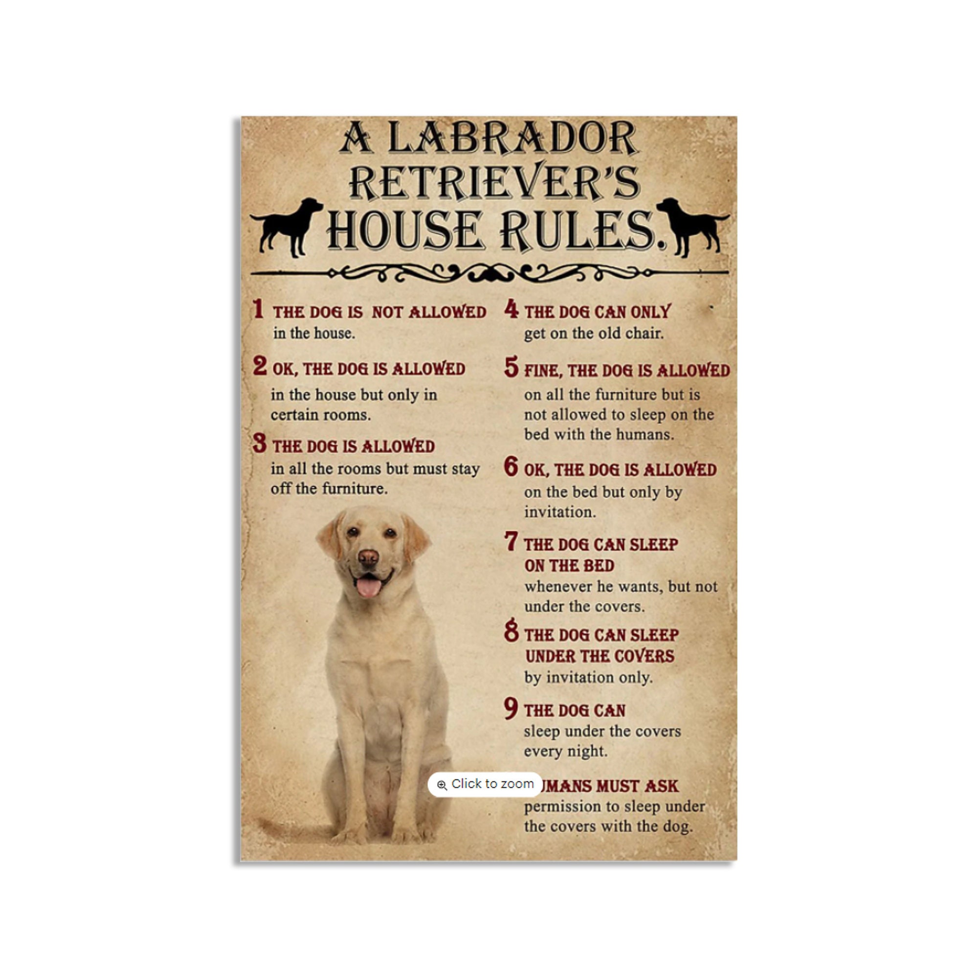 What Is Needed To House A Labrador Retriever