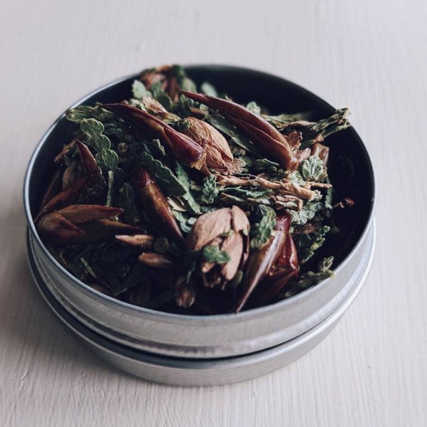Swamp Cypress and Poplar Bud Incense. Wild botanicals from the bog forest.