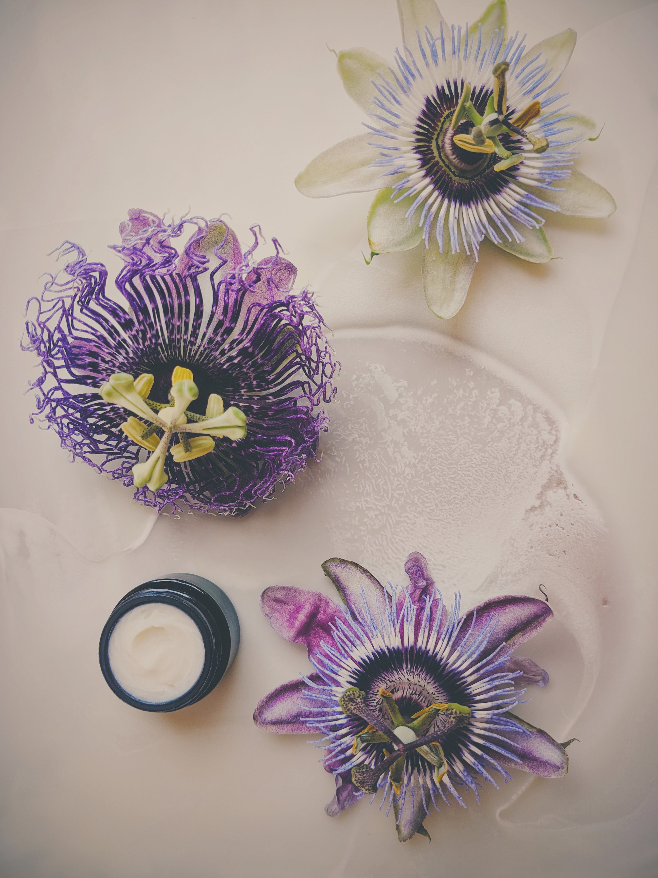 WildVeilPerfume Canada