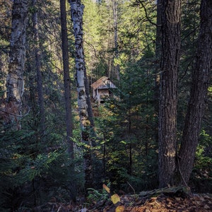 Log Cabin in the Woods. natural perfume. wood smoke rises above the tree tops in the spruce-fir forest. autumn is here. December 2022