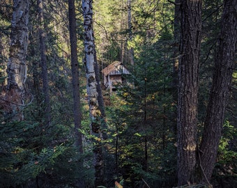 Cabaña de troncos en el bosque. perfumes naturales. El humo de la madera se eleva por encima de las copas de los árboles en el bosque de abetos. otoño está aquí. diciembre 2022