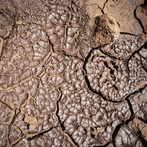 Petrichor Soliflore. natural perfume. single note petrichor perfume with in house mitti extracts. July 2024