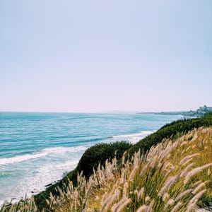 The Bluffs. natural perfume. minty, sweetgrass coastal scent. June 2025