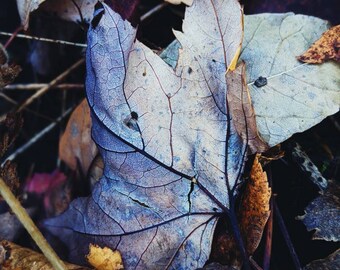 Wild Veil Fall Fragrances. Sample Set of 13 Autumnal Natural Perfumes and Colognes. Gift set.