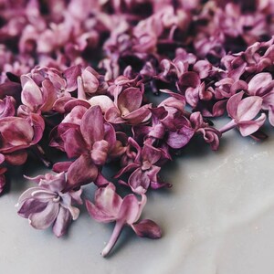 Peach Iris. enfleurage perfume. orris root, peach, turkish rose, apricot, osmanthus, tea olive, begamot. solid fragrance. October 2023