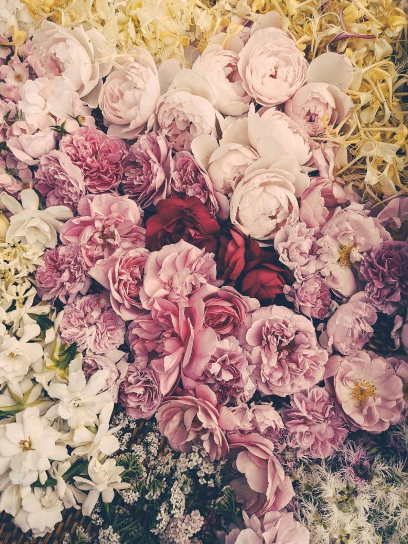 Sleeping Beauty. Natural Perfume. Helichrysum Reflecting Etsy