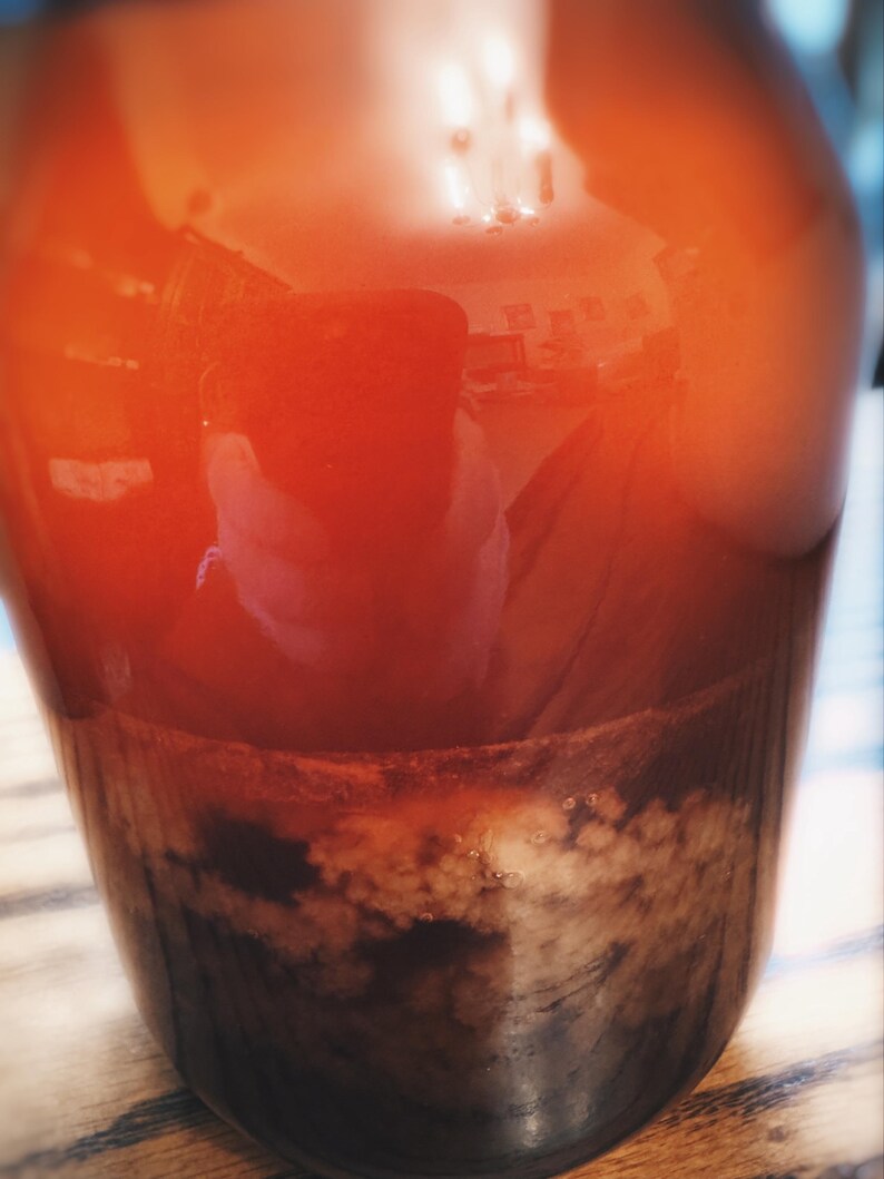 Alpine Spring Honey. Unfiltered Natural Perfume. From a Prized 6 Year ...