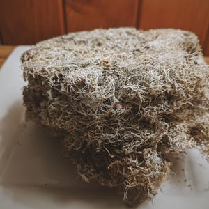 Oakmoss Soliflore. single note oak moss perfume with in house oakmoss extracts, harvested from perfumer's old growth forest. Jan 2025