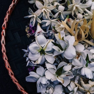 Queen of Mars. enfleurage perfume. fur bikini, musky white flower surf at the blue hour. salty amber tropics. July 2021