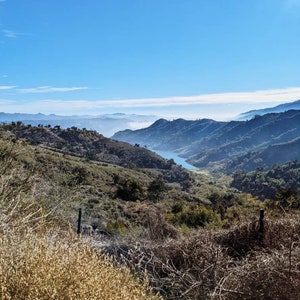 Big Sur. natural perfume. douglas fir, seaweed, palo santo, salvia apiana, incense, patchouli, orange groves. botanical scent. June 2023