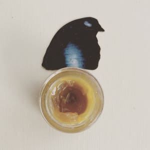 Night Moth. natural perfume. spice, amber, incense, wood. powder, camphor, coconut, wood polish, herbs. botanical scent. August 2023