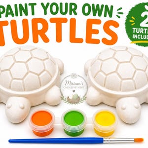 DIY Turtle Paint Kit, Paint Your Own Craft, Party Favor