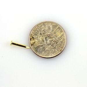 May include: A gold-colored tack or push pin next to a US quarter coin. The coin features the image of a bald eagle with outstretched wings.