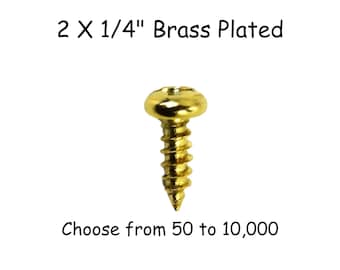 2 x 1/4&quot; Brass Plated Steel Screws - Small Screws for Wood - Hinge Screws - Gold Screws