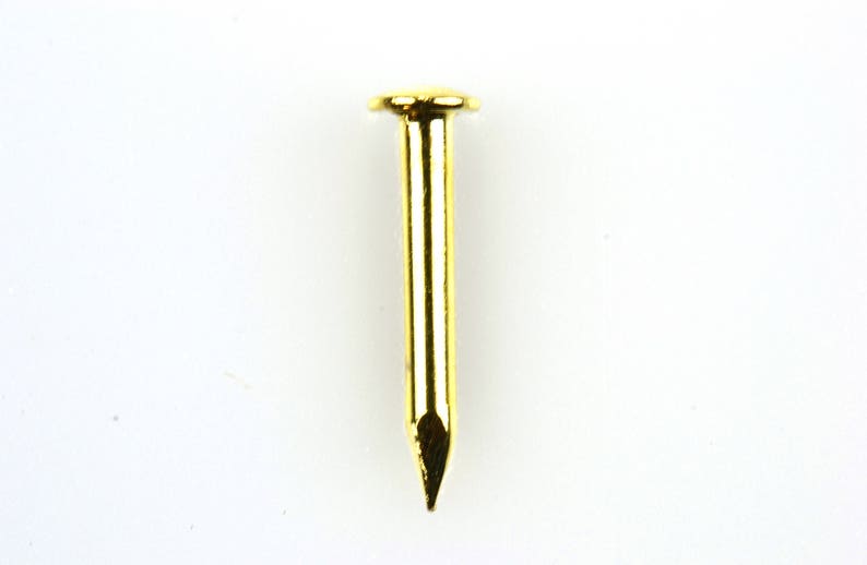 May include: A gold-colored tack with a round head and a sharp point.