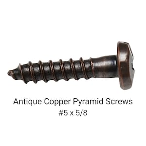 May include: Antique copper pyramid screws, #5 x 5/8.  These screws have a pyramid-shaped head and a bronze finish.