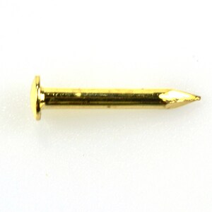 May include: A gold-colored tack with a round head and a pointed tip.