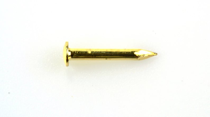 May include: A gold-colored tack with a round head and a pointed tip.