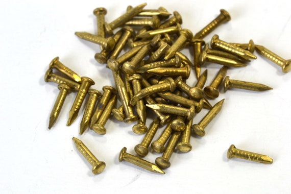 Brass Escutcheon Pins - 100 Pack - 18 Guage x 1/4" Long - Decorative Nails - Small Pins - Restoration Hardware