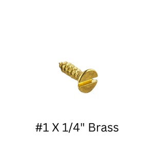May include: A single brass screw with a slotted head. The screw is #1 x 1/4" in size.