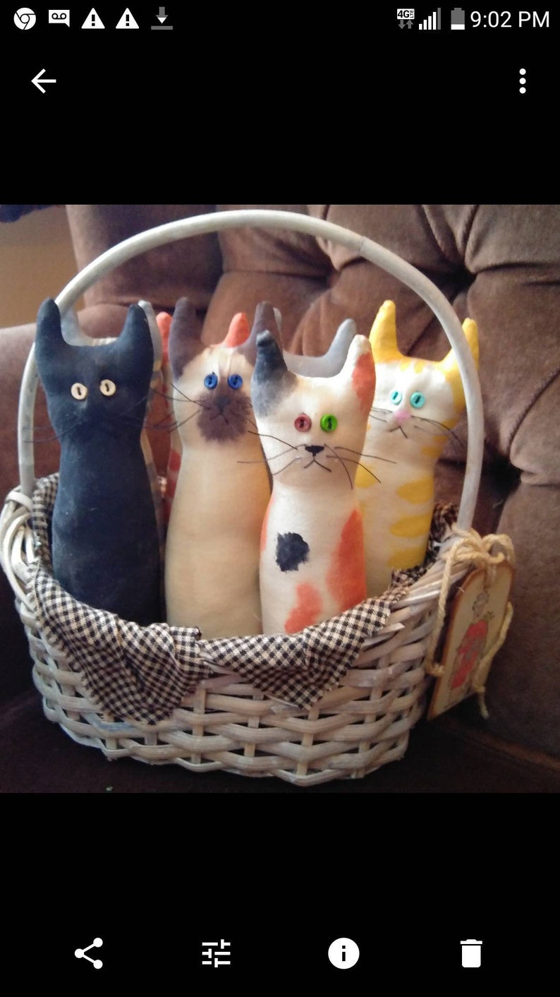 Cat Lady Starter Kit Etsy