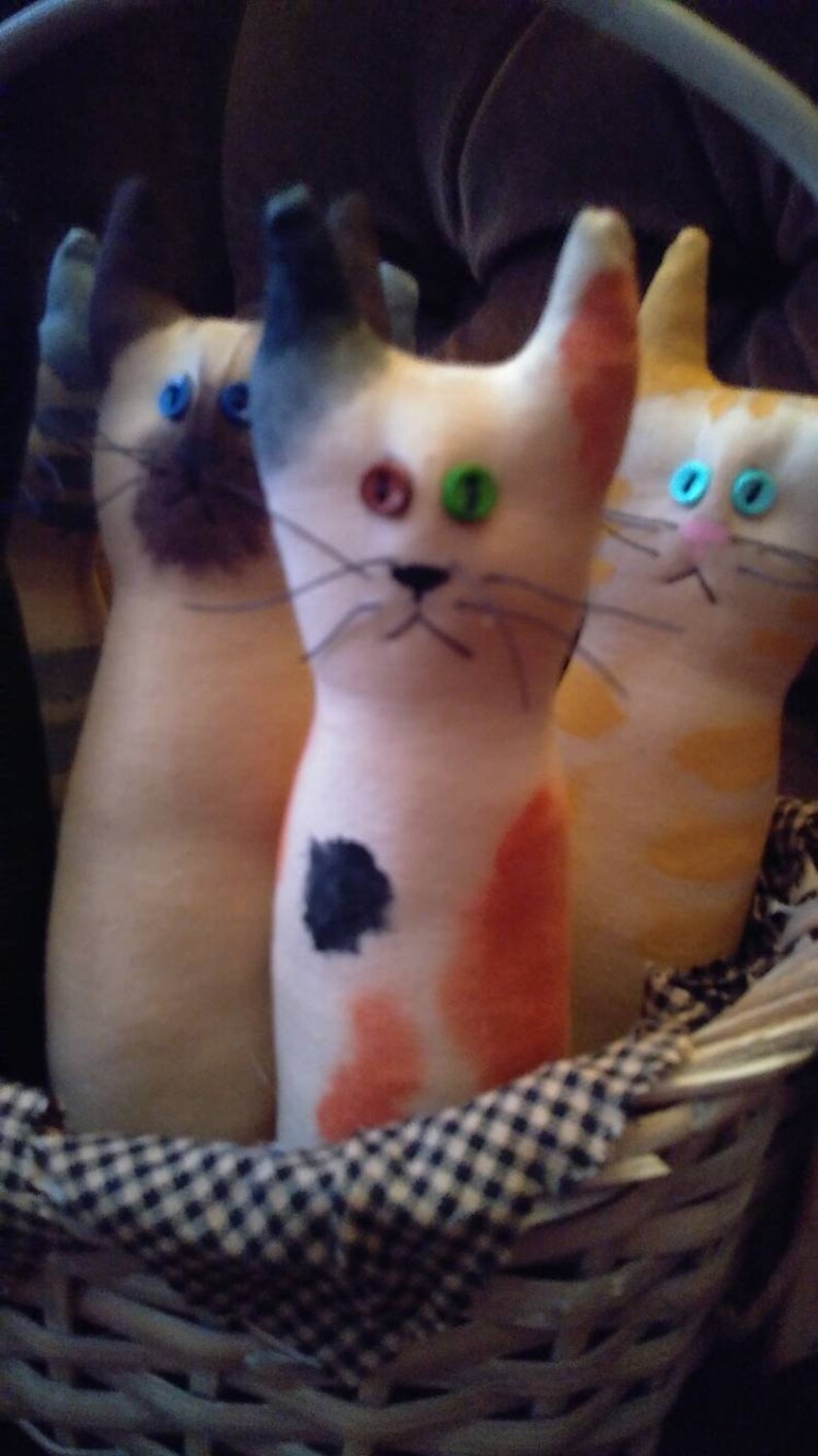 Cat Lady Starter Kit Etsy