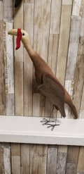 Primitive Turkey 