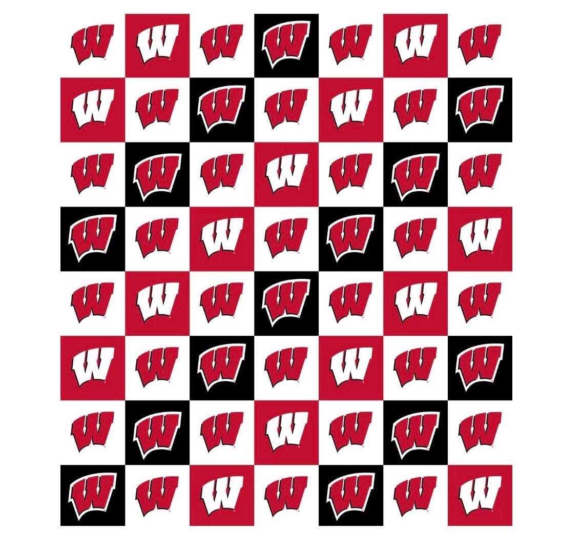 wisconsin badger dog bandana