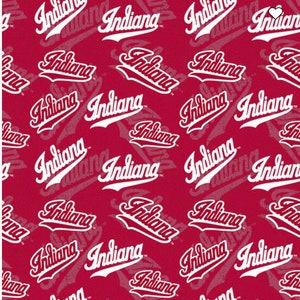 Iu 2024 dog bandana