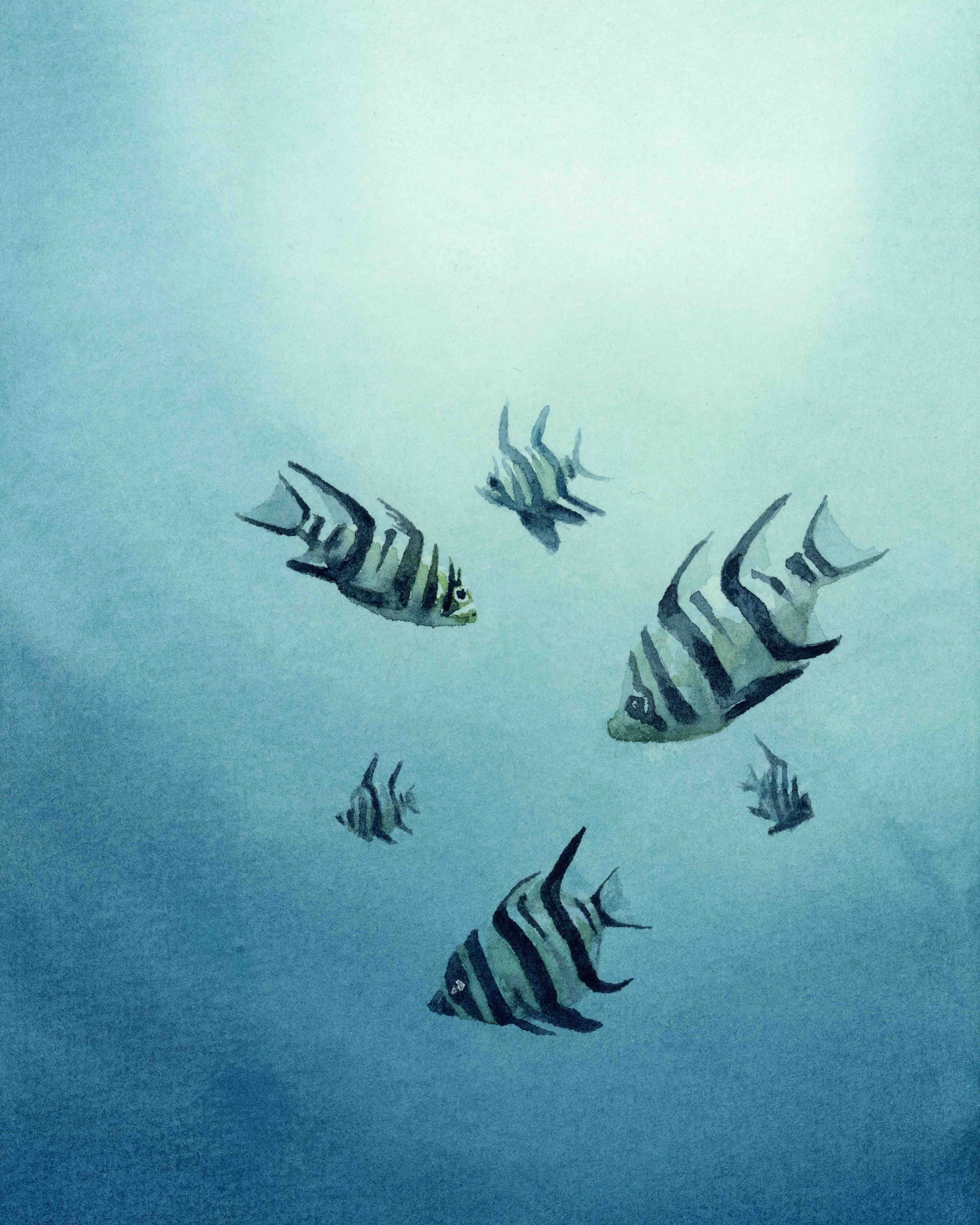 spiral by carib being  Ocean art, Fish art, Underwater painting