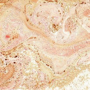 Carta in marmo Sfondo Carta Craft Carta Digitale Scrapbook Carta Beige Rosa Colori Terrestri Marmor Texture Busta Liner