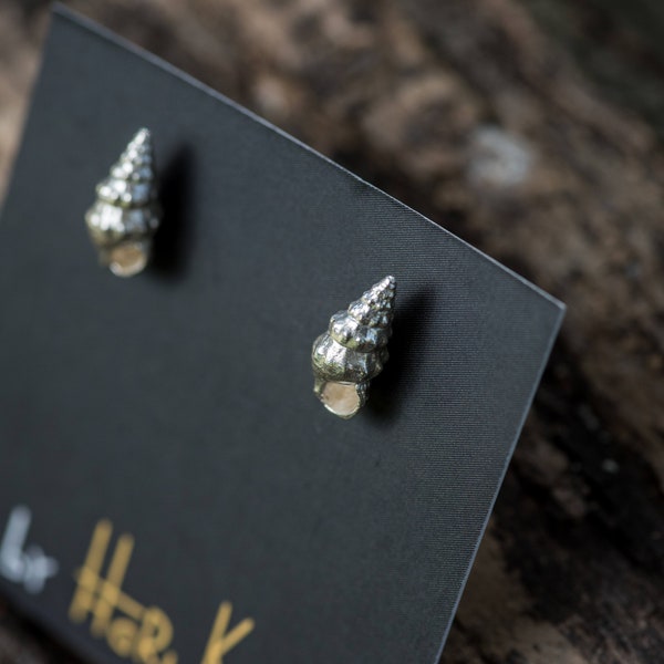 Gold Seashell Stud Earrings | +Colors main image 0